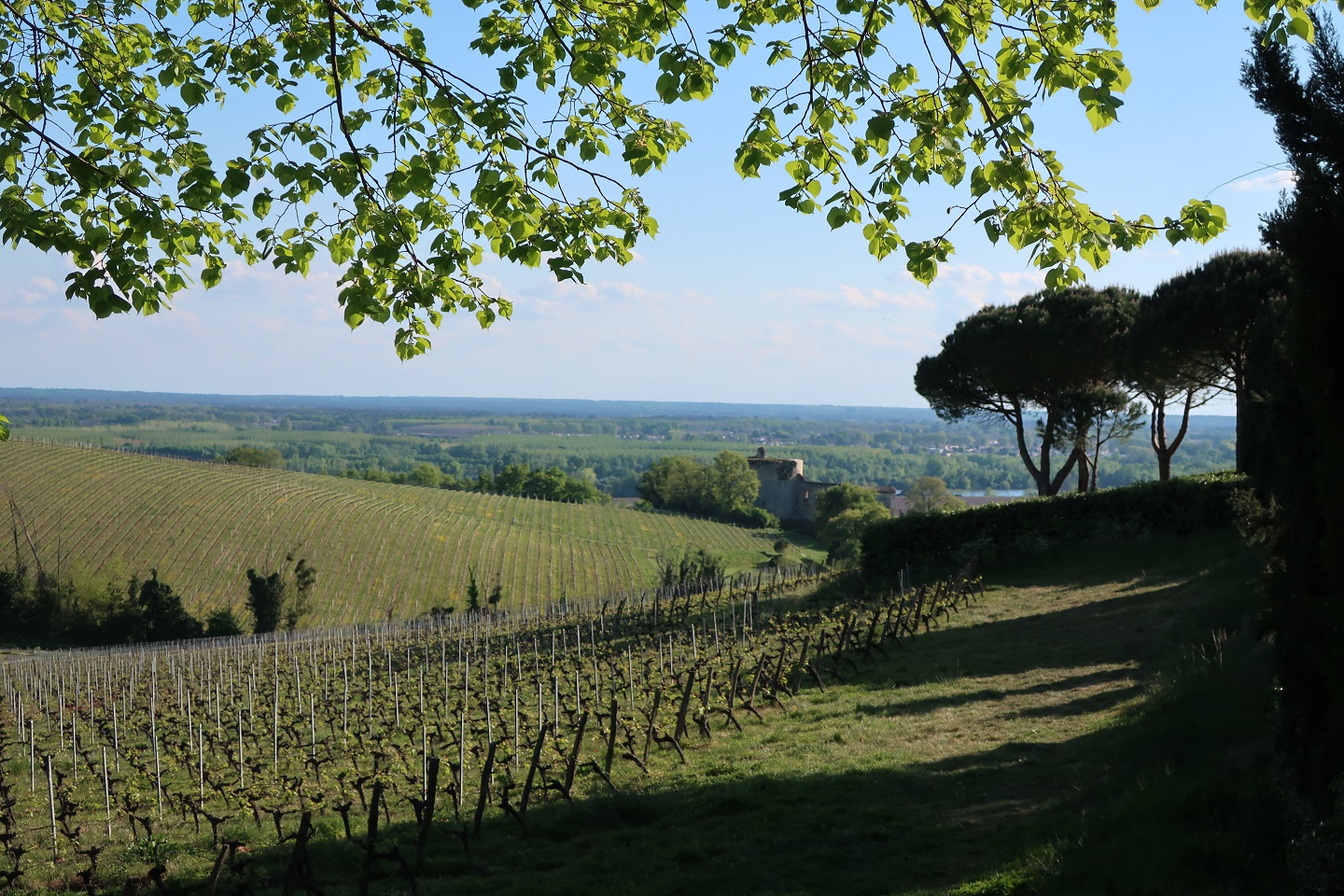 Vue sur la Garonne depuis l'église du Haut-Langoiran
