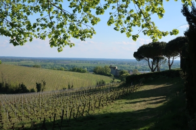 Vue sur la Garonne depuis l'église du Haut-Langoiran